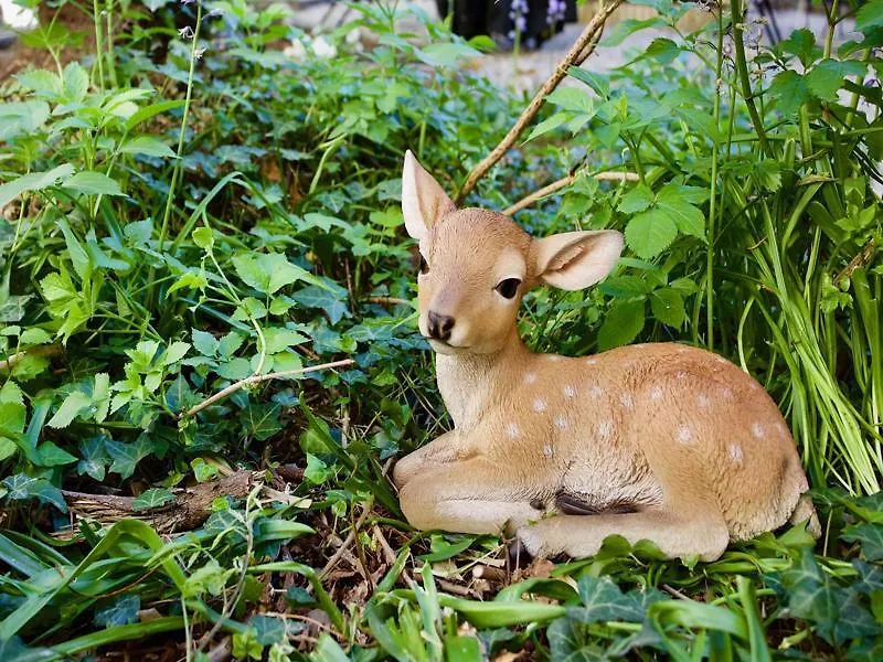 오스텔로 벨로 레이크 코모 호스텔