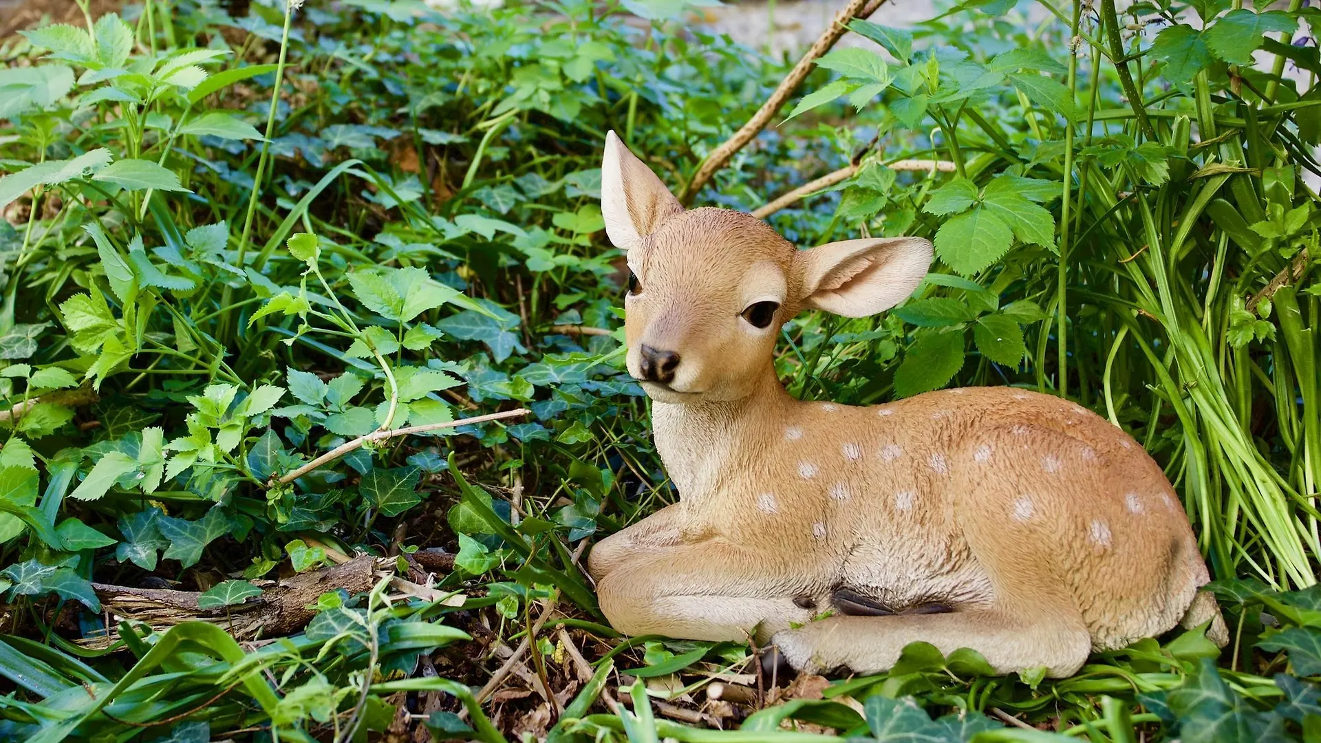 오스텔로 벨로 레이크 코모 호스텔